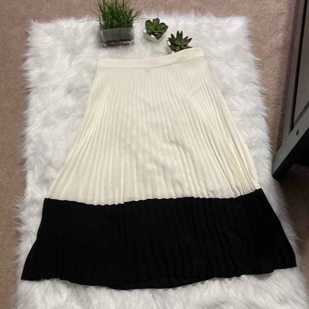 Accordion skirt - Picture 2 of 2